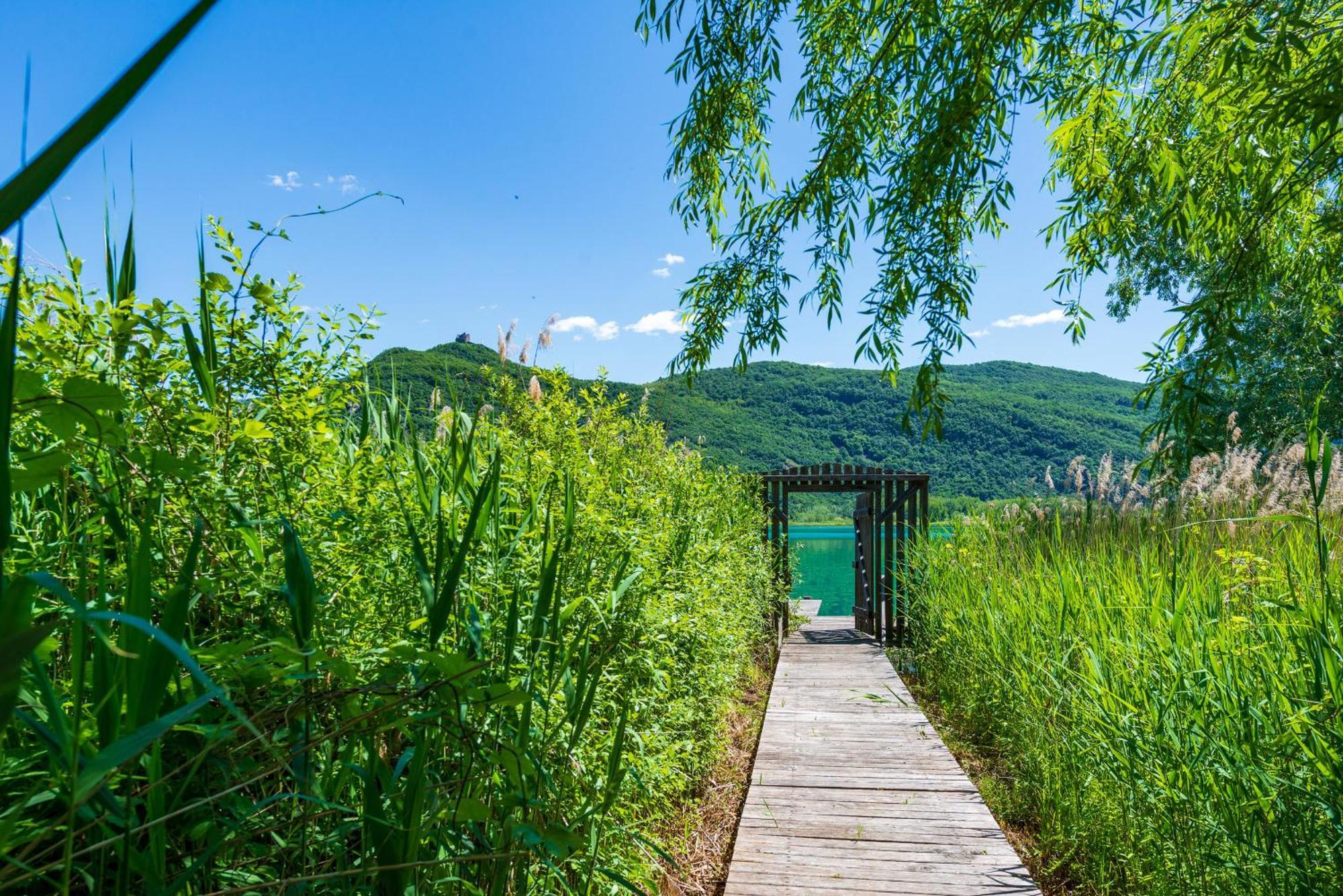 Ueberbacherhof Tramin an der Weinstraße Buitenkant foto